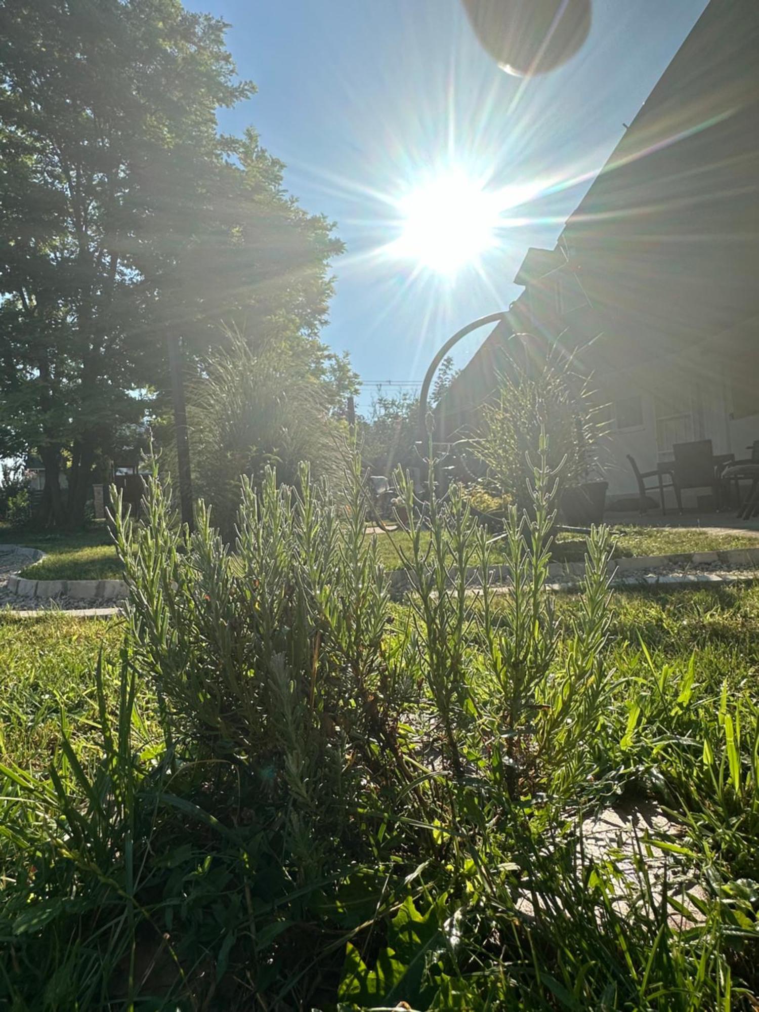 Levendulakert Siófok Apartmanház Exterior foto